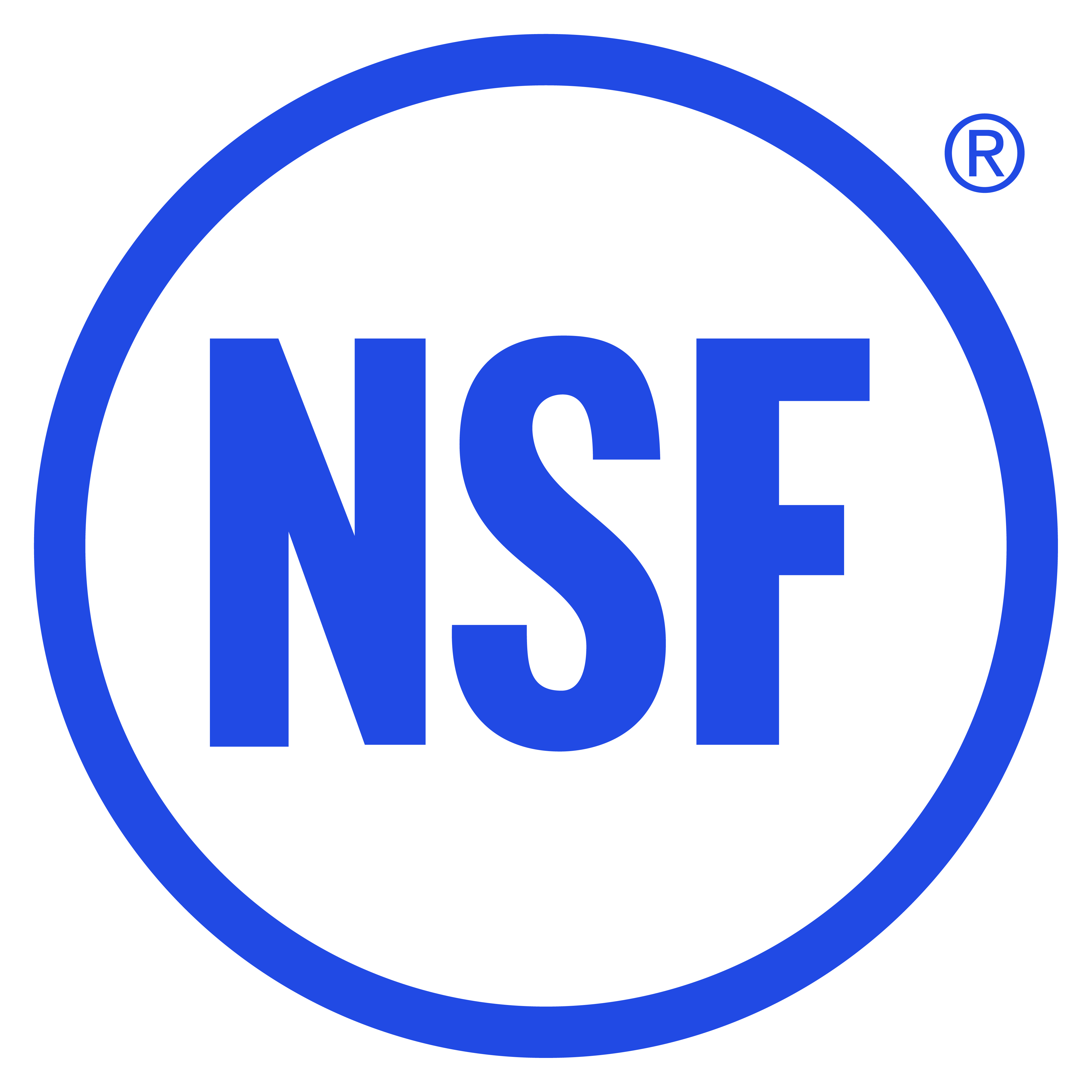 NSF Prosystem GmbH Logo